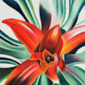 Meet your Posher, Debra